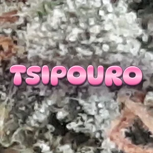Tsipouro Cannabis Strain