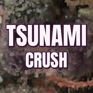 Tsunami Crush Cannabis Strain
