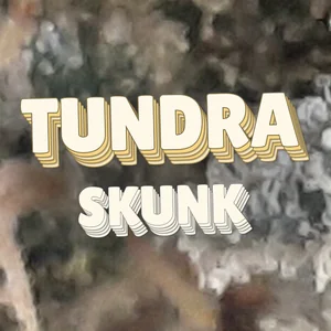 Tundra Skunk Cannabis Strain