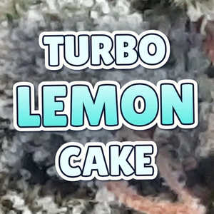 Turbo Lemon Cake Cannabis Strain
