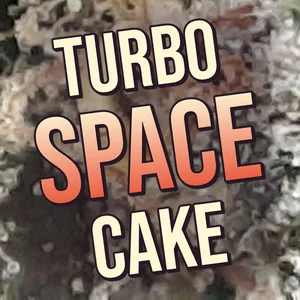 Turbo Space Cake Cannabis Strain
