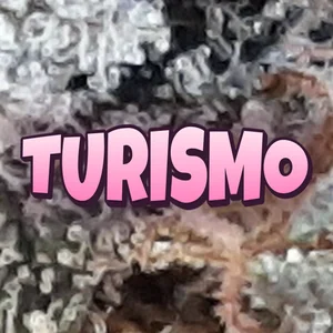 Turismo Cannabis Strain