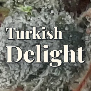 Turkish Delight Cannabis Strain