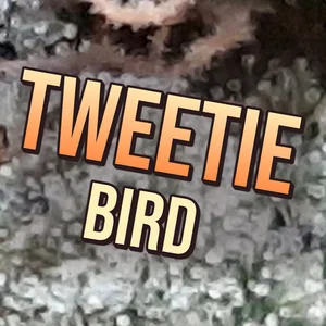 Tweetie Bird Cannabis Strain