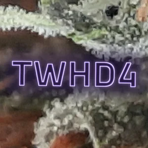 TWHD4 Cannabis Strain
