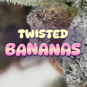 Twisted Bananas Cannabis Strain