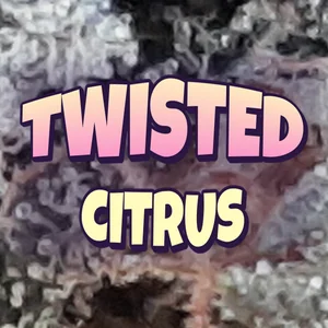 Twisted Citrus Cannabis Strain
