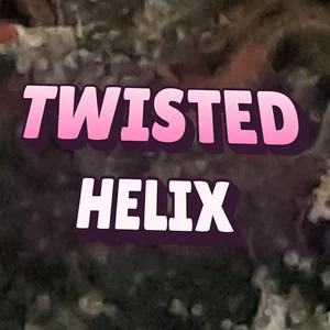 Twisted Helix Cannabis Strain