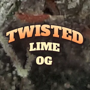 Twisted Lime OG Cannabis Strain