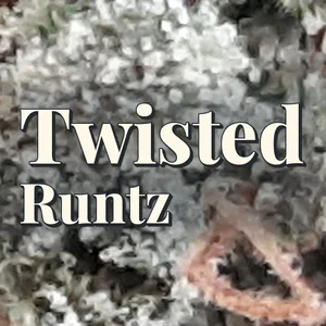 Twisted Runtz Cannabis Strain