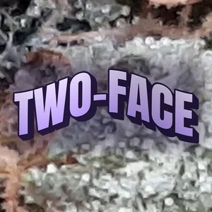 Two-Face Cannabis Strain