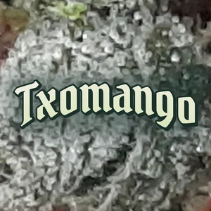 Txomango Cannabis Strain