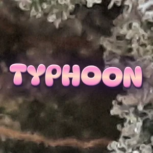 Typhoon Cannabis Strain