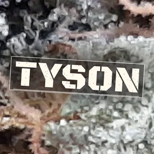 Tyson Cannabis Strain