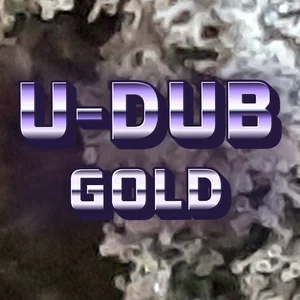 U-dub Gold Cannabis Strain
