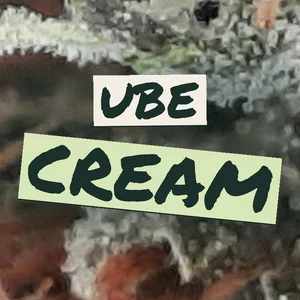 Ube Cream Cannabis Strain