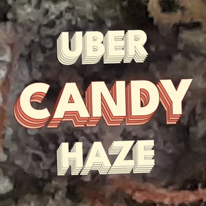 Uber Candy Haze Cannabis Strain