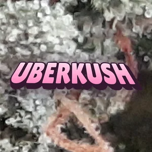 Uberkush Cannabis Strain