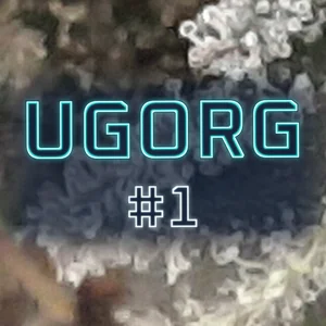UGORG #1 Cannabis Strain
