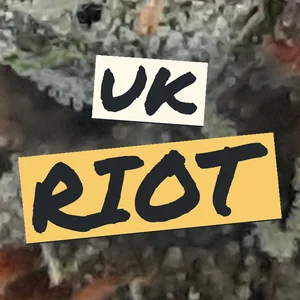 UK Riot Cannabis Strain