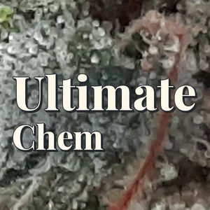 Ultimate Chem Cannabis Strain
