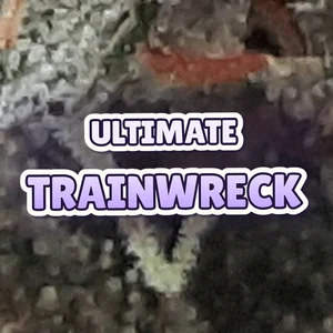 Ultimate Trainwreck Cannabis Strain