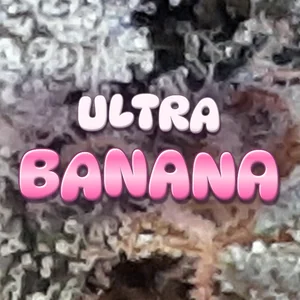Ultra Banana Cannabis Strain