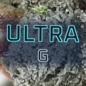 Ultra G Cannabis Strain
