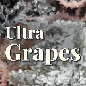 Ultra Grapes Cannabis Strain
