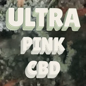 Ultra Pink CBD Cannabis Strain