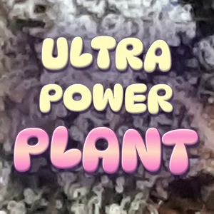 Ultra Power Plant Cannabis Strain