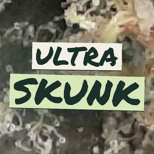 Ultra Skunk Cannabis Strain