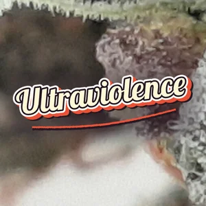 Ultraviolence Cannabis Strain