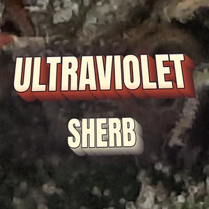 Ultraviolet Sherb Cannabis Strain