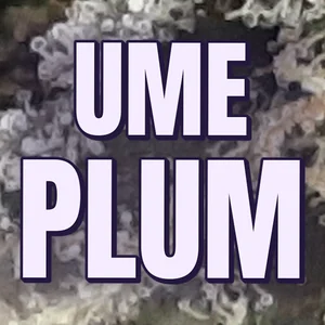 Ume Plum Cannabis Strain