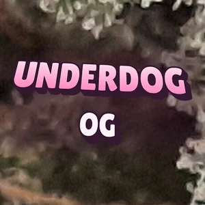 Underdog OG Cannabis Strain