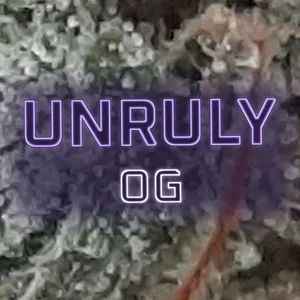 Unruly OG Cannabis Strain