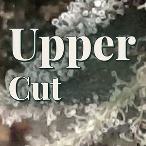 Upper Cut Cannabis Strain