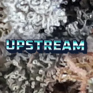 Upstream Cannabis Strain