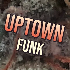 Uptown Funk Cannabis Strain