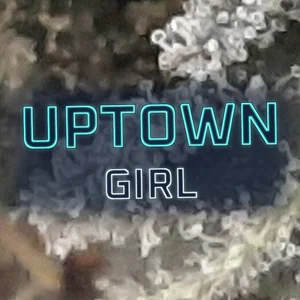 Uptown Girl Cannabis Strain
