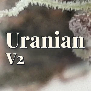 Uranian V2 Cannabis Strain