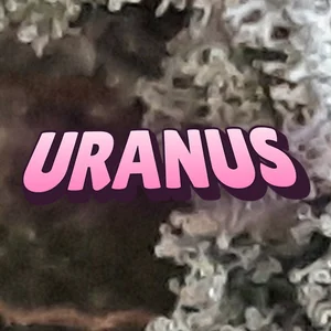 Uranus Cannabis Strain