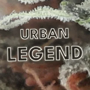 Urban Legend Cannabis Strain