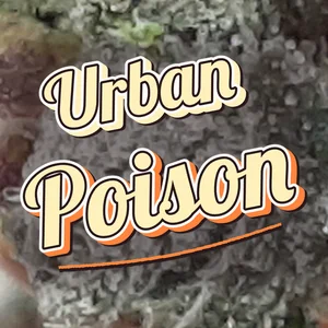 Urban Poison Cannabis Strain