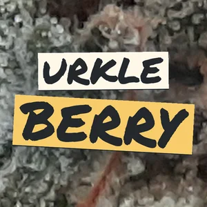 Urkle Berry Cannabis Strain