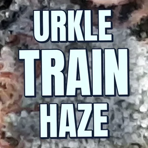 Urkle Train Haze Cannabis Strain