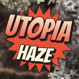 Utopia Haze Cannabis Strain