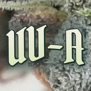 UV-A Cannabis Strain