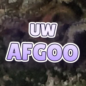 UW Afgoo Cannabis Strain